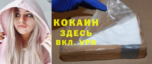 крисы Тайга