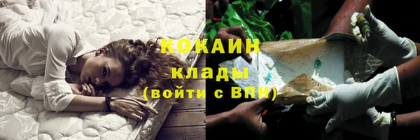 ПСИЛОЦИБИНОВЫЕ ГРИБЫ Горняк