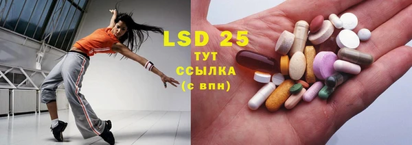 ПСИЛОЦИБИНОВЫЕ ГРИБЫ Горняк