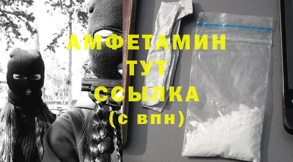 ПСИЛОЦИБИНОВЫЕ ГРИБЫ Горняк