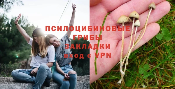 соль курить ск Горно-Алтайск