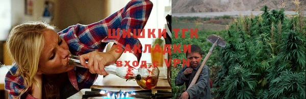 крисы Тайга